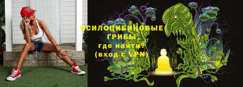 Галлюциногенные грибы MAGIC MUSHROOMS  Красновишерск 